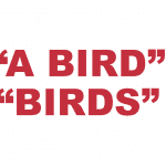What does "A Bird" and “Birds" mean in rap?