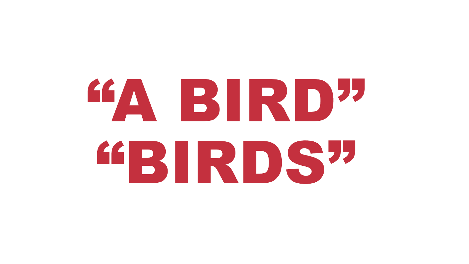 What does "A Bird" and “Birds" mean in rap? What does "A Bird" and “Birds" mean in rap?