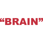 What does “Brain” mean in rap?