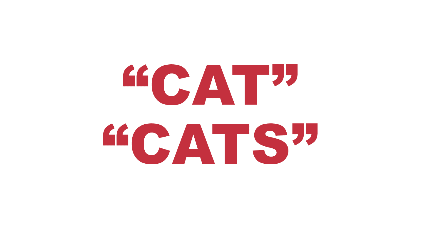 What does "Cat" & "Cats" mean in rap? What does "Cat" & "Cats" mean in rap?