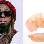 Lil Wayne's first rap name was Shrimp Daddy