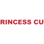 What does "Princess cut" mean?