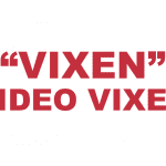 What does "Vixen" or "Video Vixen" mean?