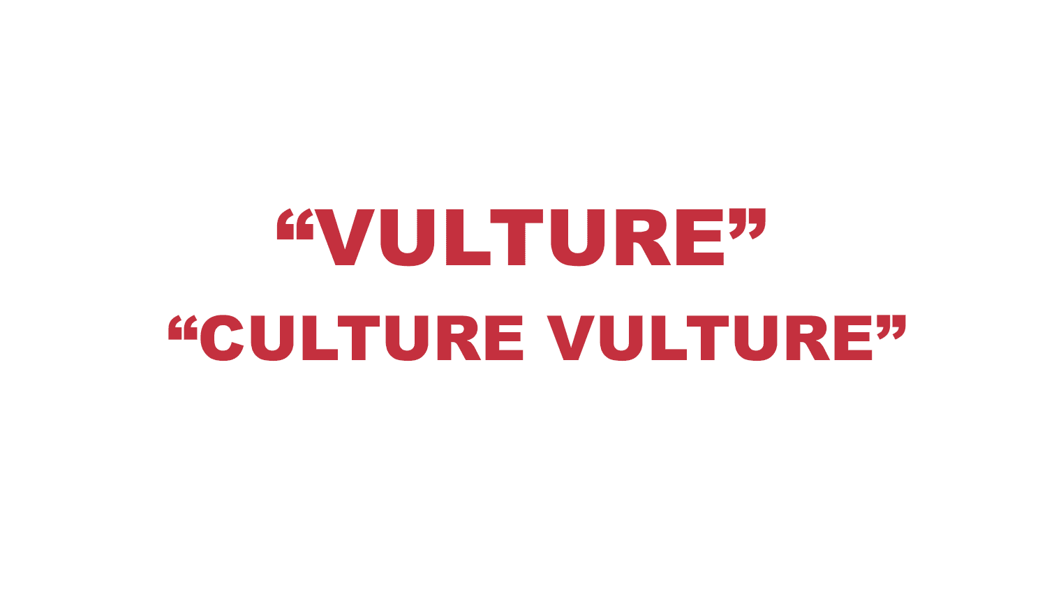 What does "Vulture" and "Culture Vulture" mean? What does "Vulture" and "Culture Vulture" mean?