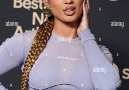 DaniLeigh sentenced to 5 years probation on DUI and hit & run charges